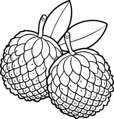 Cherimoya Fruit Line Art Illustration of Two Cherimoyas with Leaves