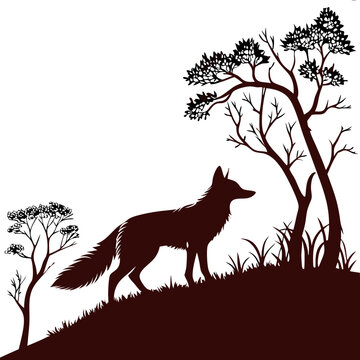 fox in tha gungle