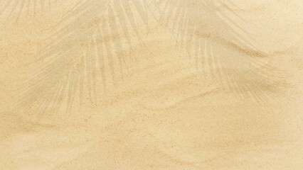 Serene Beach Background: Palm Leaf Shadows on Sandy Texture