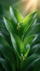 Minimalist closeup of vibrant green corn stalks