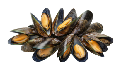 Mouthwatering mussels preparation coastal kitchen food photography natural setting close-up view culinary art