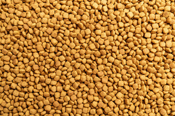 Food for animals background. Dry cat and dog food texture, pattern. Pet meal background close up....