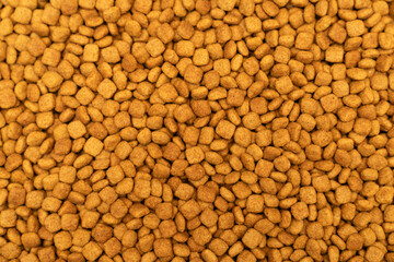 Food for animals background. Dry cat and dog food texture, pattern. Pet meal background close up. Dry food for pet dogs and cats. Dried pet food top view. Granules of good nutrition for dogs and cats.