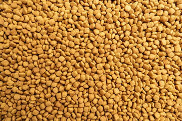 Food for animals background. Dry cat and dog food texture, pattern. Pet meal background close up. Dry food for pet dogs and cats. Dried pet food top view. Granules of good nutrition for dogs and cats.