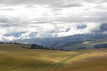 Xinjiang, Nanati Grassland, Farm, Livestock, Animal Husbandry, Scenery, Tourism, Plateau