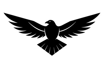 Obraz premium eagle with wings