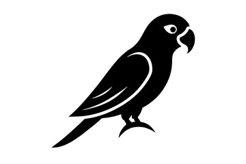 Obraz premium bird on a branch