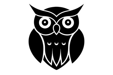 owl on white background