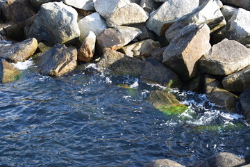 stones on the shores of the mediterranean sea. © MARIA