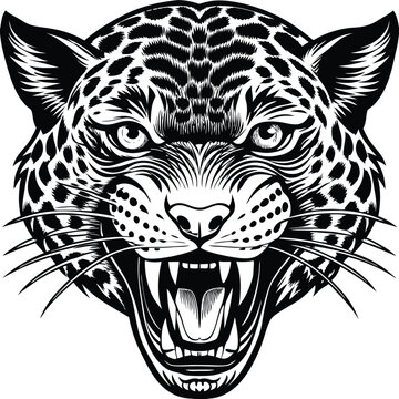 Aggressive Leopard Head