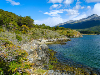 Coastline of the Beagle Channel. Landscape in the National Park Tierra del Fuego. South America, Argentina, Patagonia, Tierra del Fuego.