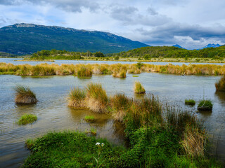 Obraz premium River Rio Lapataia. Landscape in the National Park Tierra del Fuego. South America, Argentina, Patagonia, Tierra del Fuego.