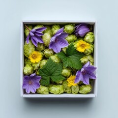 White square box filled with green hops, purple and yellow flowers, and green leaves, on a light gray background