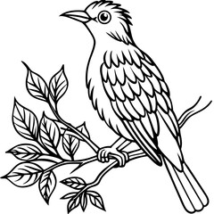 Fototapeta premium Line art bird perched on branch with leaves