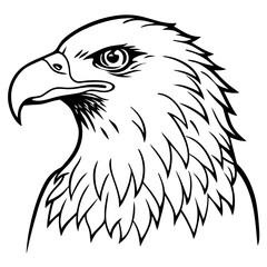 Obraz premium Line art drawing of an american bald eagle head