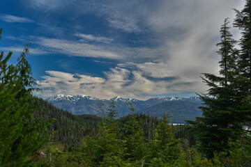 USA, Alaska. Landscape of mountain, evergreen trees and meadow near Wrangell.