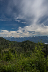 Fototapeta premium USA, Alaska. Landscape of mountain, evergreen trees and meadow near Wrangell.