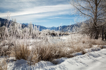 USA, Colorado, San Juan Mountains, Ridgway. Frosty morning along the Uncompahgre River