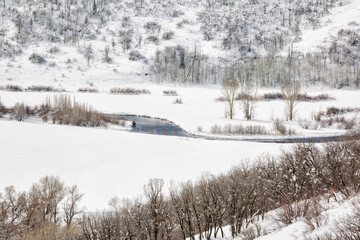 USA, Colorado, Routt County. Steamboat Springs, Gambel oak and the Yampa River