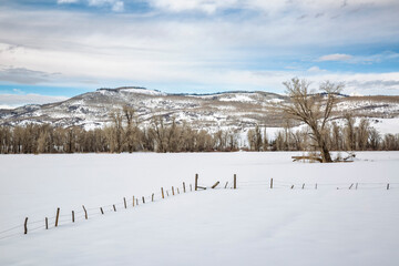 USA, Colorado, Routt County. Steamboat Springs, Ranch near Clark