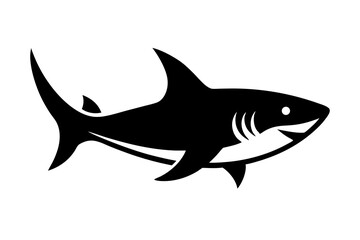shark vector illustration