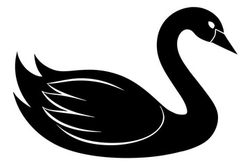 black swan vector