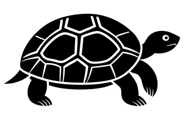 turtle vector illustration