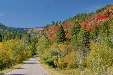 USA, Idaho. Roadway leading into mountains just west of St. Charles