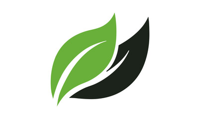 Eco nature leaf icon, green energy symbol, ecology vector illustration, organic product label, botanical concept, herbal identity, clean environment, natural foliage, cutout.