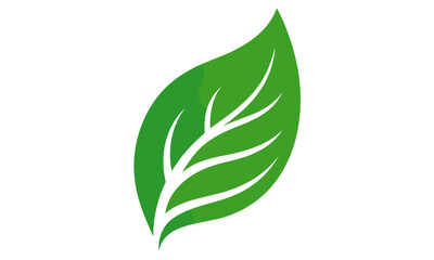 Nature green leaf vector icon, herbal foliage emblem, vector illustration, eco friendly concept, plant symbol, natural life logo, organic ecology design, leaf shape, environmental background.