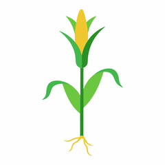 Vector art illustration of a corn plant