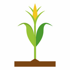 Vector art illustration of a corn plant
