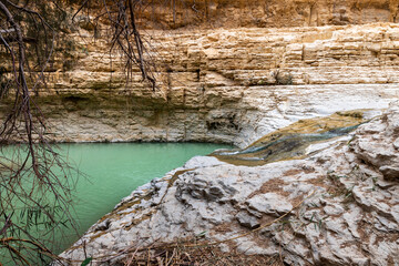Small  lake in Arugot Stream Nature Reserve near Dead Sea in southern Israel