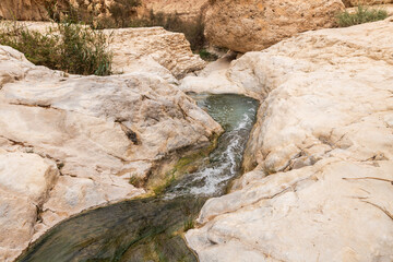 Shallow  mountain river flows along the winding channel in Arugot Stream Nature Reserve near Dead Sea in the southern Israel
