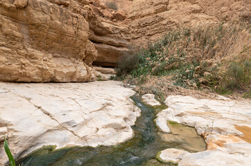 Shallow  mountain river flows along winding channel in the Arugot Stream Nature Reserve near Dead Sea in the southern Israel