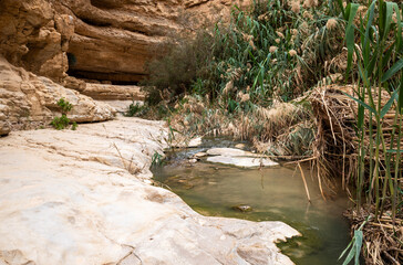 Shallow  mountain river flows along winding channel in Arugot Stream Nature Reserve near the Dead Sea in the southern Israel