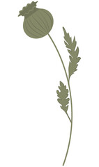 Vector illustration of red poppy flowers with green leaves and buds. Created in a flat, minimalist style.