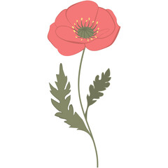 Vector illustration of red poppy flowers with green leaves and buds. Created in a flat, minimalist style.