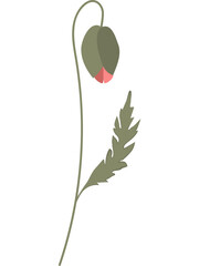 Vector illustration of red poppy flowers with green leaves and buds. Created in a flat, minimalist style.
