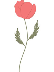 Vector illustration of red poppy flowers with green leaves and buds. Created in a flat, minimalist style.