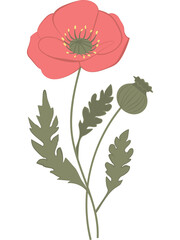 Vector illustration of red poppy flowers with green leaves and buds. Created in a flat, minimalist style.