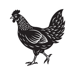 chicken vector art Illustration 