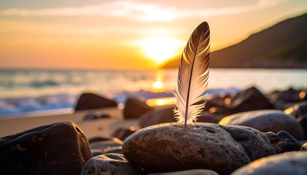 Feather Sunset Beach Rocks.