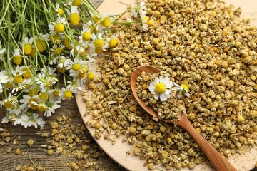 Dry and fresh chamomile flowers in spoon on table, top view