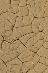 USA, Washington State, Palouse. Cracked and dried mud