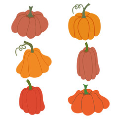  A set of orange pumpkins with different ornaments. Harvest season, fall illustration. Vector collection
