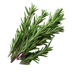 Fototapeta premium Fresh rosemary herb isolated on transparent background. Generative AI.