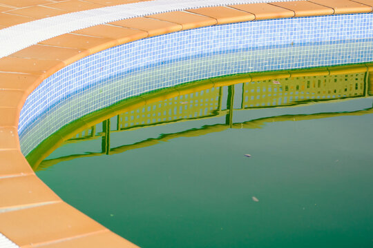 Reflection on the Surface of Stagnant, Dirty Pool Water. Abandoned Swimming Pool with Green Water.
