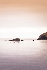Kayakers on Bowman Bay by Rosario Head, Deception Pass State Park, Washington State, USA.
