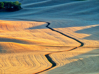 USA, Washington State. Rolling hills of harvest time wheat and grain crops